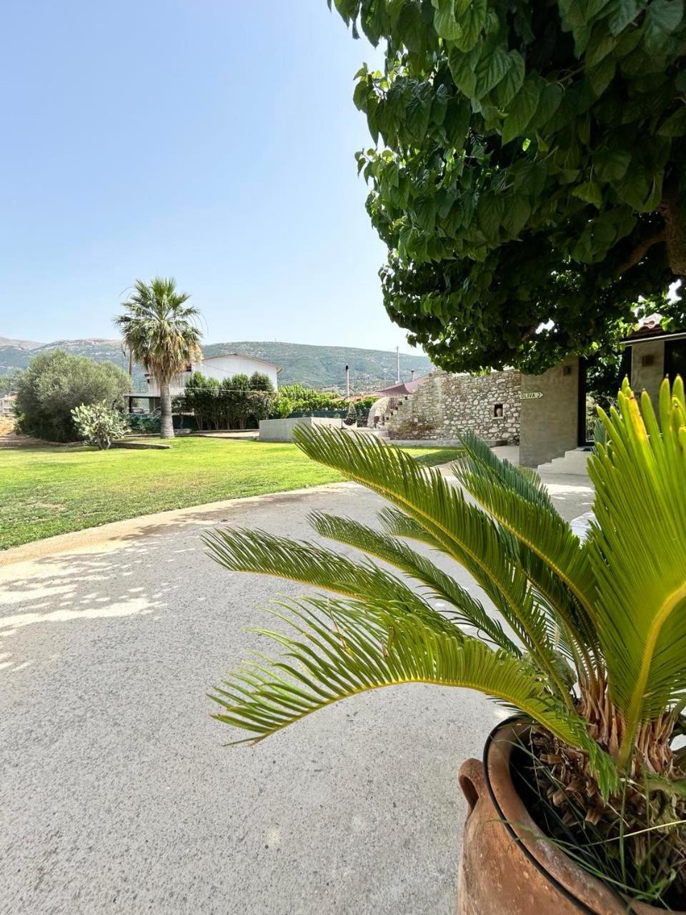Holiday home Ktimaoliva2 Nafpaktos
