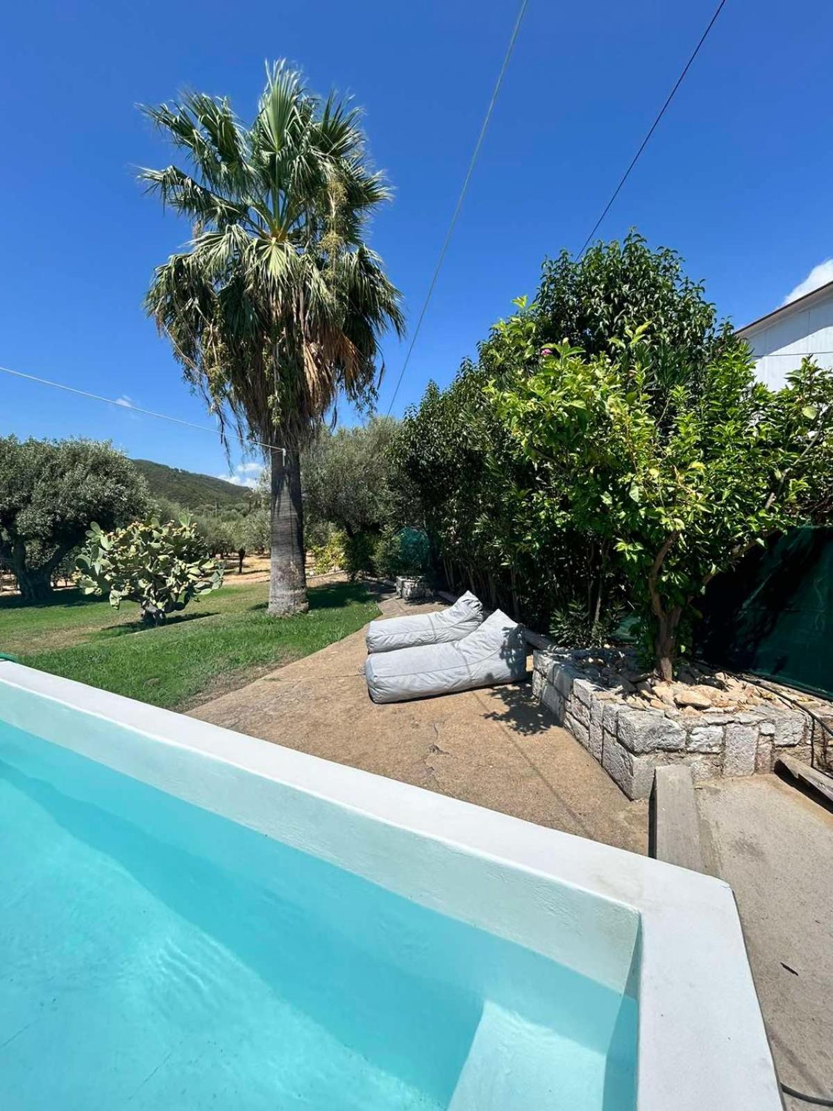 Ktimaoliva2 Holiday home *